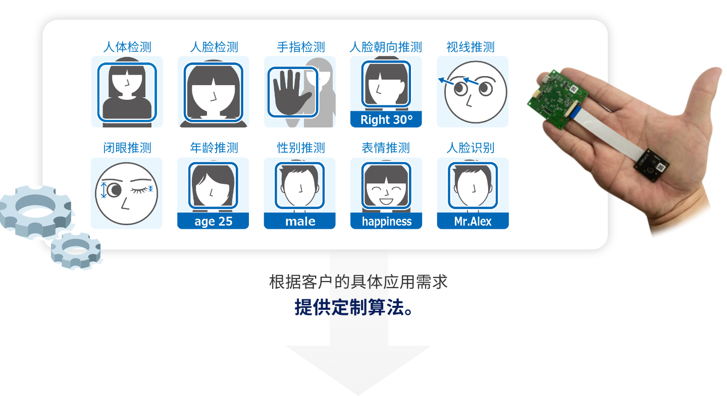 人体检测,人脸检测,手指检测,人脸朝向推测,视线推测,闭眼推测,年龄推测,性别推测,表情推测,人脸识别 根据客户的具体应用需求提供定制算法。